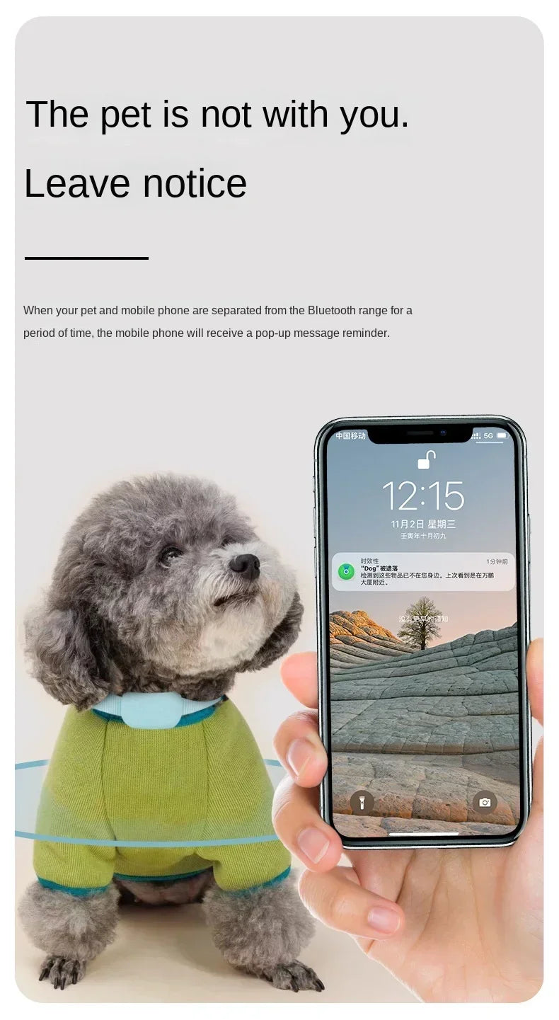 Mini chien Gps étanche, suivi des animaux, colliers d'alerte de mouvement