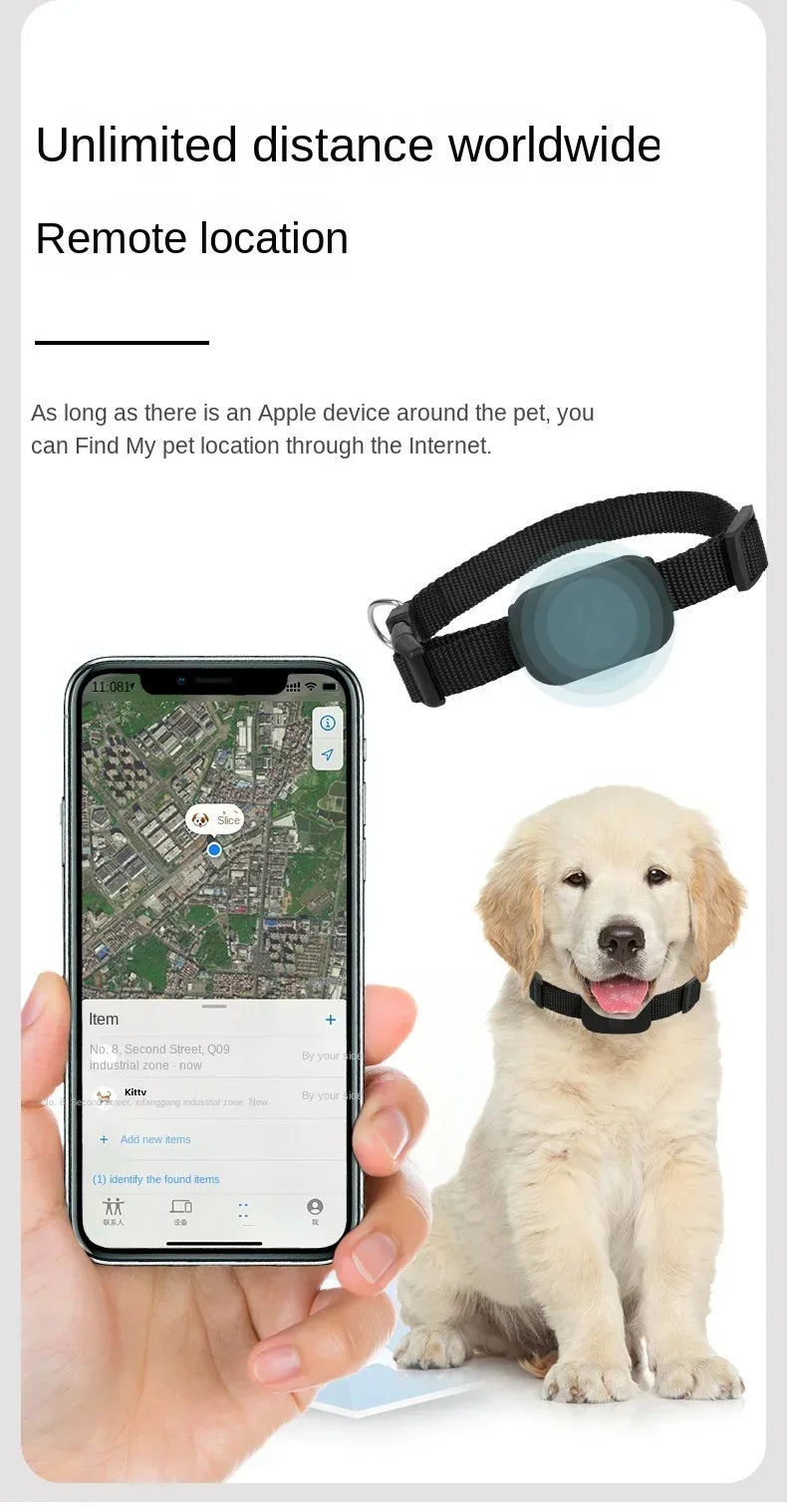 Mini chien Gps étanche, suivi des animaux, colliers d'alerte de mouvement