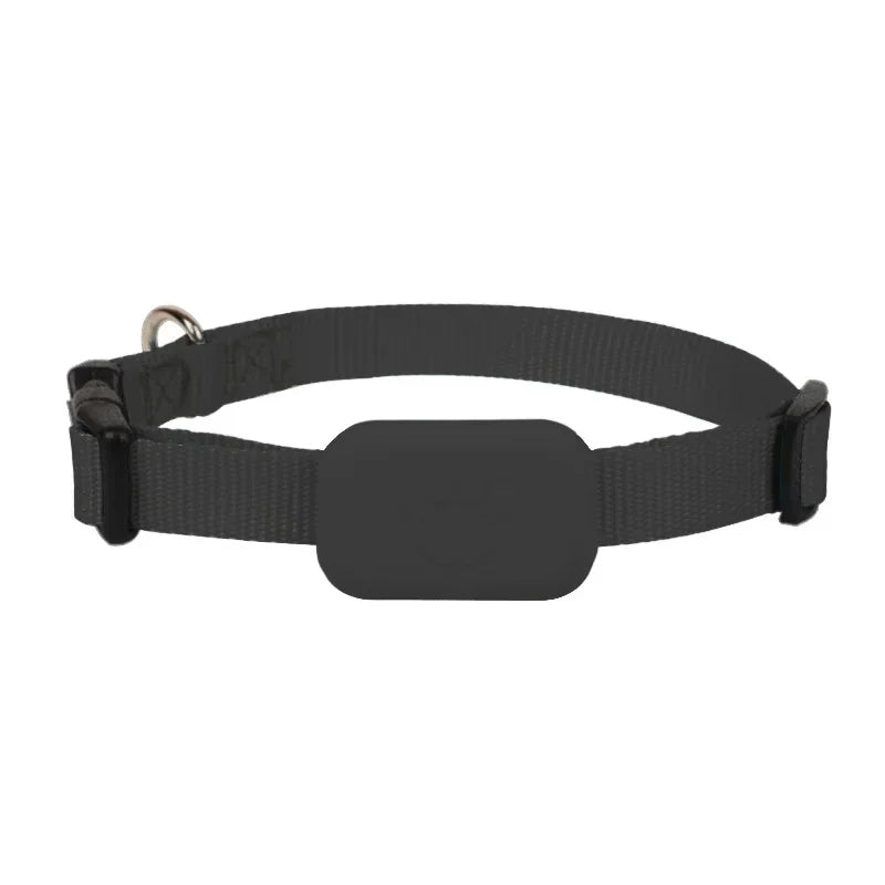 Mini chien Gps étanche, suivi des animaux, colliers d'alerte de mouvement