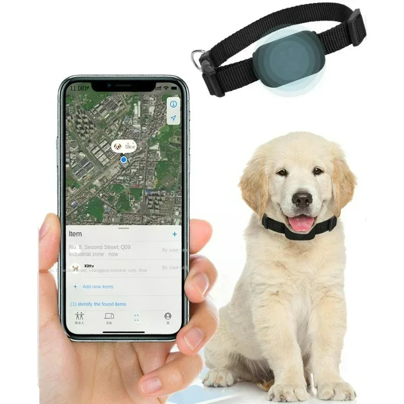 Mini chien Gps étanche, suivi des animaux, colliers d'alerte de mouvement