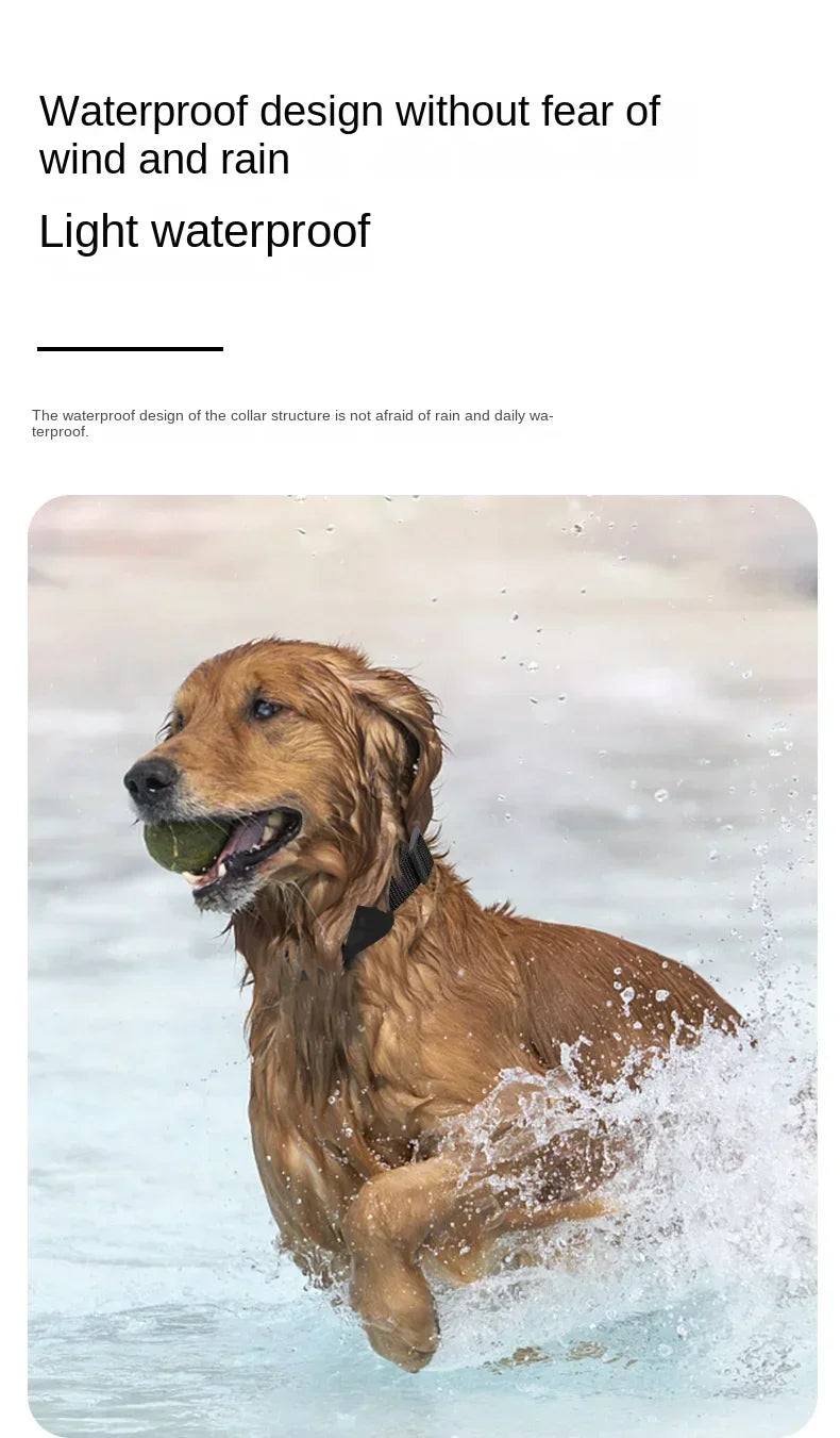 Mini chien Gps étanche, suivi des animaux, colliers d'alerte de mouvement